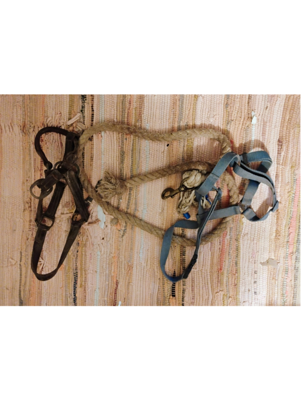 Horse lead rope Plus 2 Halters equestrian